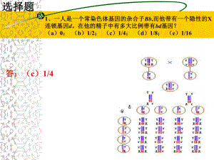 遗传学练习讲解.ppt
