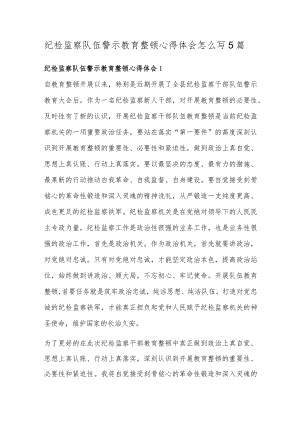 纪检监察队伍警示教育整顿心得体会怎么写5篇.docx