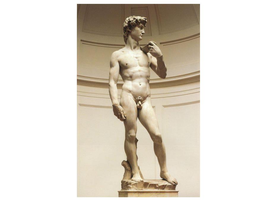 非那雄胺与前列腺癌的预防.ppt_第2页