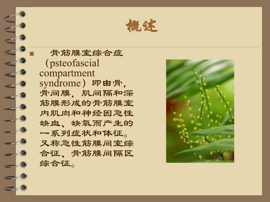 骨筋膜室综合症的护理.ppt_第2页