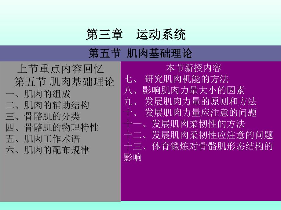 骨骼肌基础理论.ppt_第2页