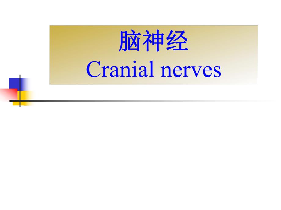 颅神经赵建华本科教学.ppt_第1页