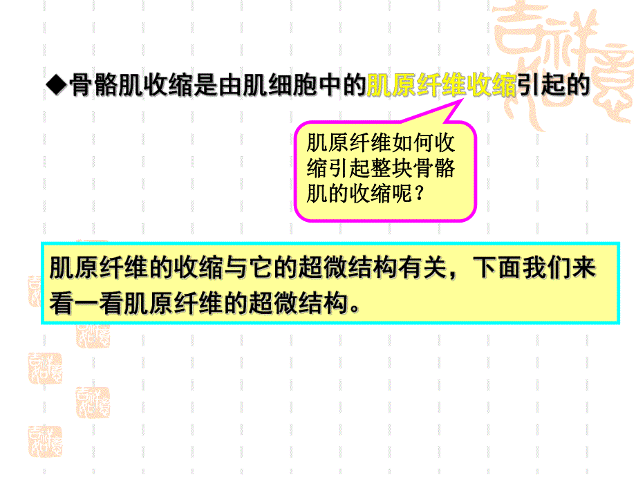 骨骼肌收缩的功能.ppt_第2页