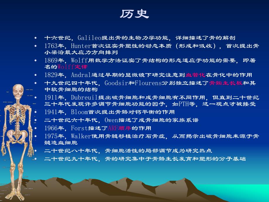 骨的结构和功能.ppt_第3页