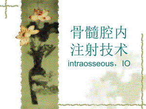 骨髓腔内注射技术.ppt