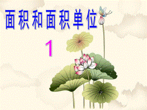 面积和面积单位1.ppt