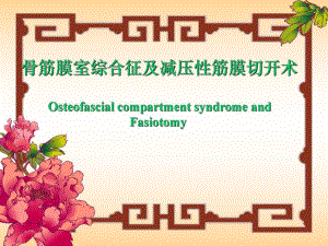 骨筋膜室综合征.ppt