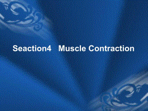 骨骼肌的特性.ppt