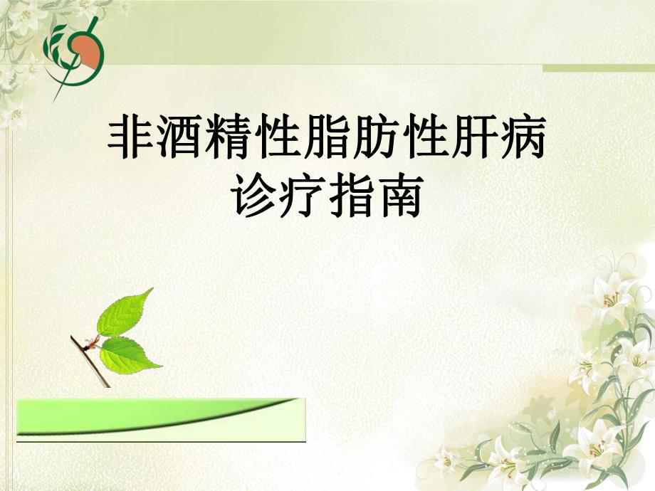 非酒精性脂肪性肝病指南ppt课件.ppt_第1页