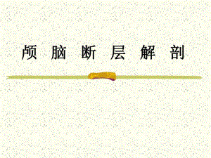 颅脑断面解剖.ppt