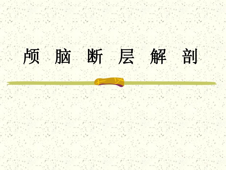 颅脑断面解剖.ppt_第1页