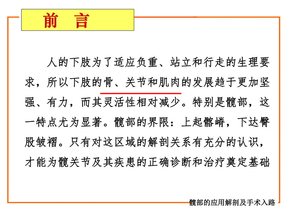 髋部解剖及入路.ppt_第2页