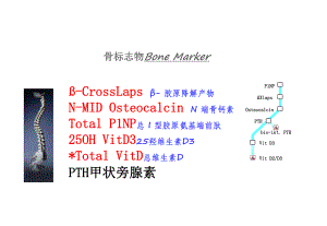 骨标志物临床应用.ppt