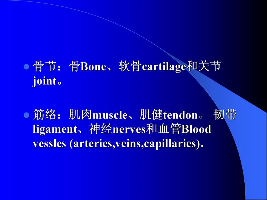 骨的外形和结构.ppt_第3页