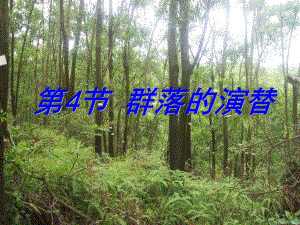 群落的演替01.ppt