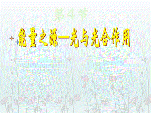 能量之源光与光合作用.ppt