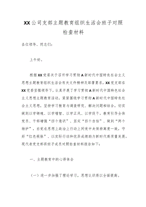 XX公司支部主题教育组织生活会班子对照检查材料.docx