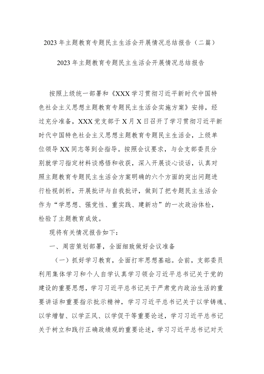 2023年主题教育专题民主生活会开展情况总结报告(二篇).docx_第1页