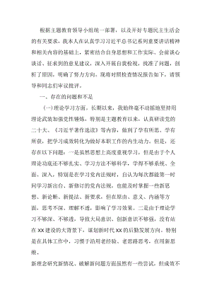 2023年专题民主生活会个人对照检查材料.docx