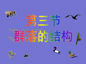 群落的结构H.ppt