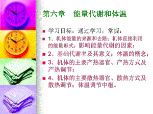 能量代谢和体温演示文稿.ppt