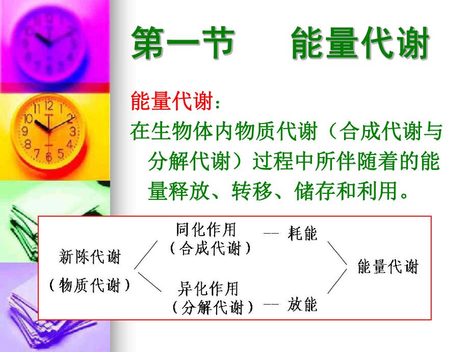能量代谢和体温演示文稿.ppt_第2页