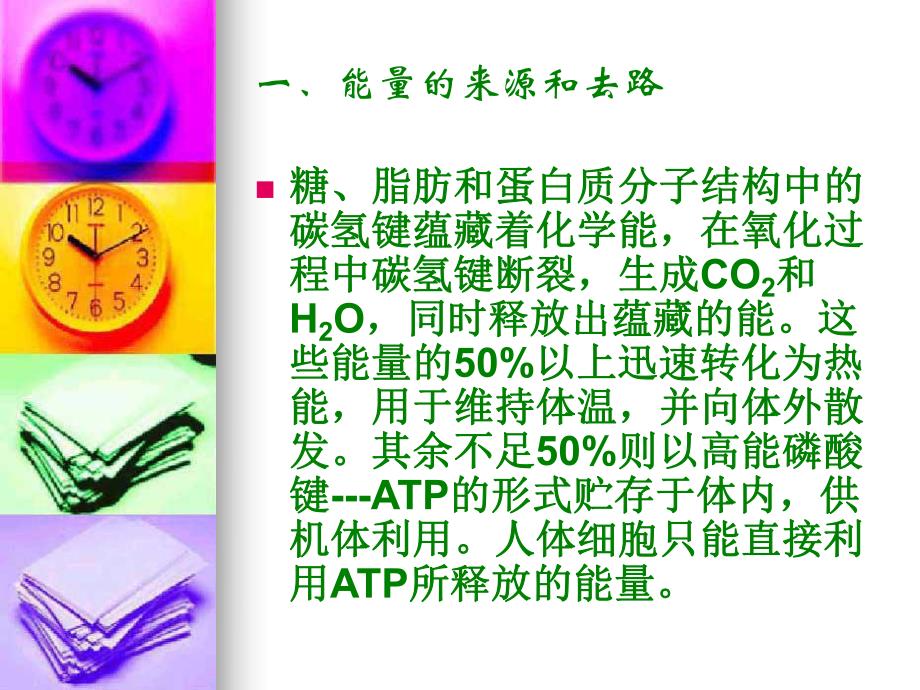 能量代谢和体温演示文稿.ppt_第3页