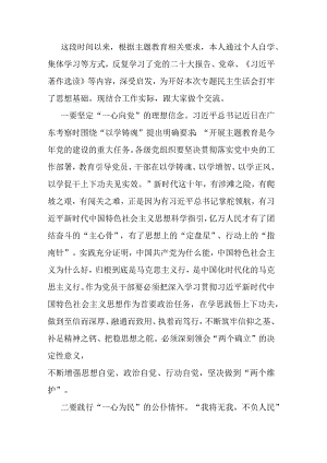 2023年度主题教育专题民主生活会会前学习研讨发言提纲.docx