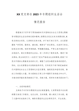XX党支部在2023年专题组织生活会情况报告.docx
