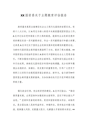 XX国资委关于主题教育评估报告.docx