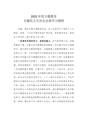 2023年度主题教育专题民主生活会会前的学习感悟.docx