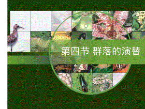 群落的演替15班.ppt