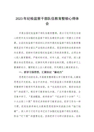 2023年全国纪检监察干部队伍教育整顿的心得体会(九篇).docx