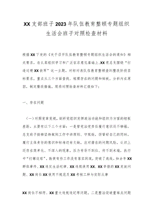 XX支部班子2023年队伍教育整顿专题组织生活会班子对照检查材料.docx