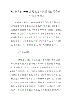 XX公司在2023主题教育专题组织生活会班子对照检查材料.docx