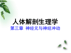 自制人体解剖生理学第三章神经元与神经冲动.ppt