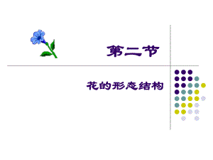 花的形态结构植物学.ppt