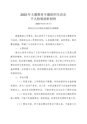 2023年主题教育专题组织生活会——党员检视剖析材料.docx