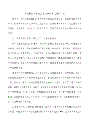 乡镇镇全过程民主基层平台建设情况汇报.docx