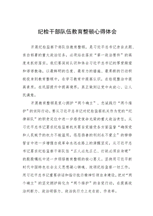 纪检干部队伍教育整顿研讨发言稿(九篇).docx