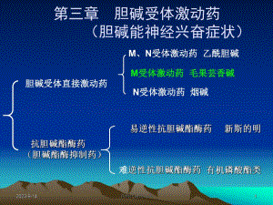 西医药理学第3章胆碱受体激动药.ppt