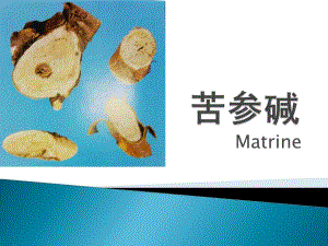 苦参碱天然药化.ppt