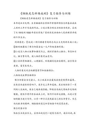 《钢铁是怎样炼成的》复习指导与训练.docx