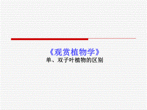观赏植物学教学课件单双子叶植物的区别新版.ppt