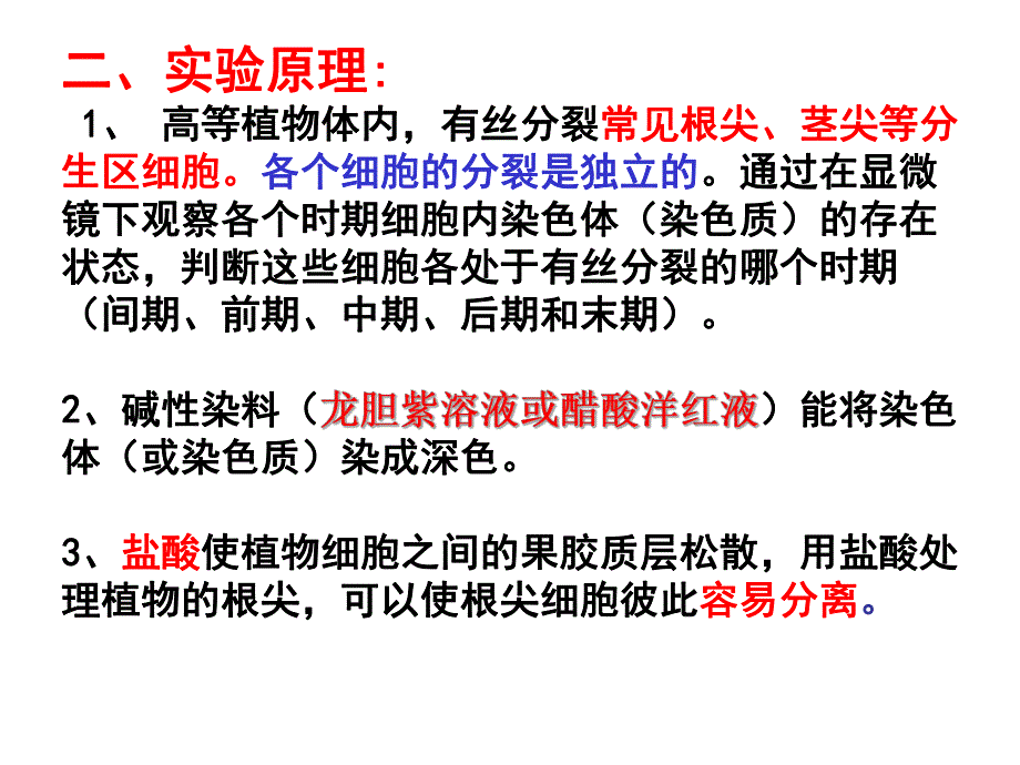 观察根尖分生组织细胞有丝分裂.ppt_第3页