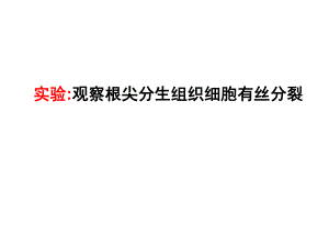 观察根尖分生组织细胞有丝分裂.ppt