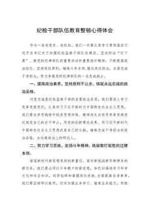 全国纪检干部队伍教育整顿的心得体会(九篇).docx