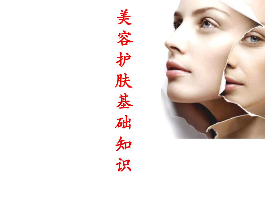 美容护肤基础知识.ppt_第1页