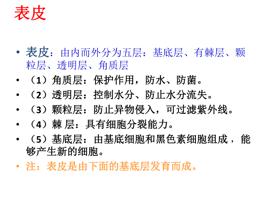 美容护肤基础知识.ppt_第3页