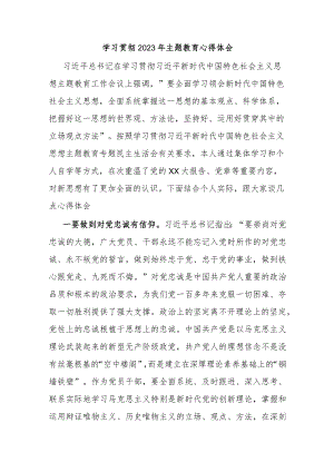 学习贯彻2023年主题教育心得体会.docx